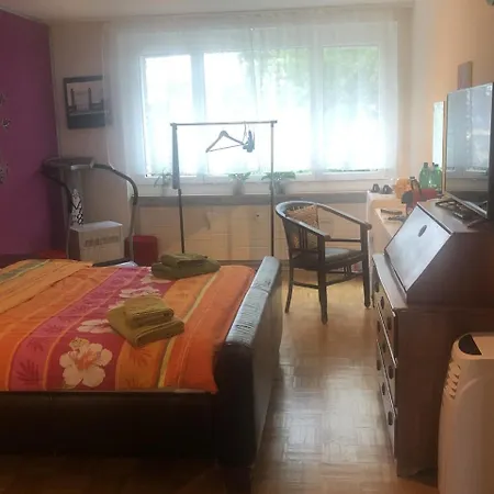 Schoenes Zimmer In Der City Basel-3